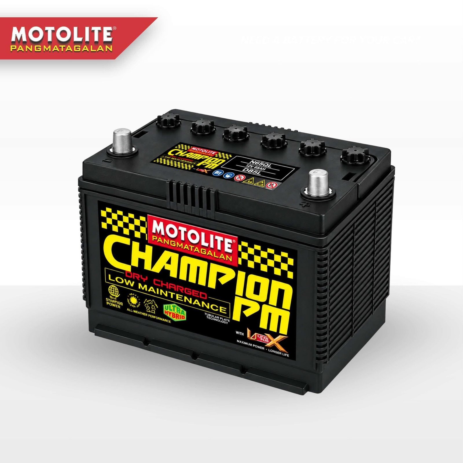Motolite Champion